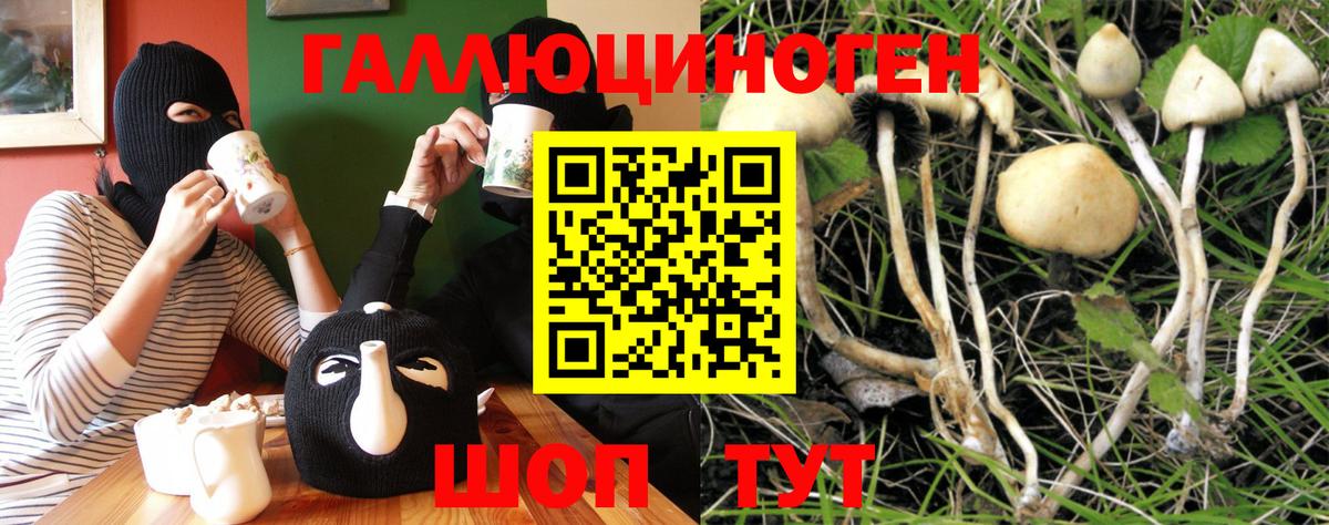 Псилоцибиновые грибы Psilocybe Кумертау