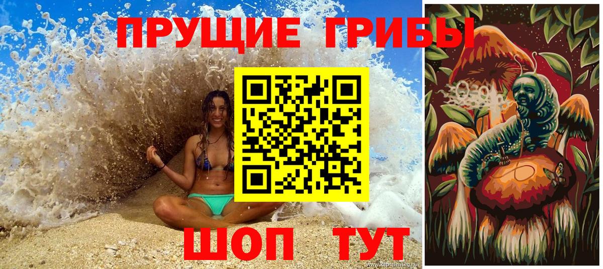 Галлюциногенные грибы GOLDEN TEACHER  Псилоцибиновые грибы ЛСД  магазин  наркотиков  Кумертау  Вход с VPN 